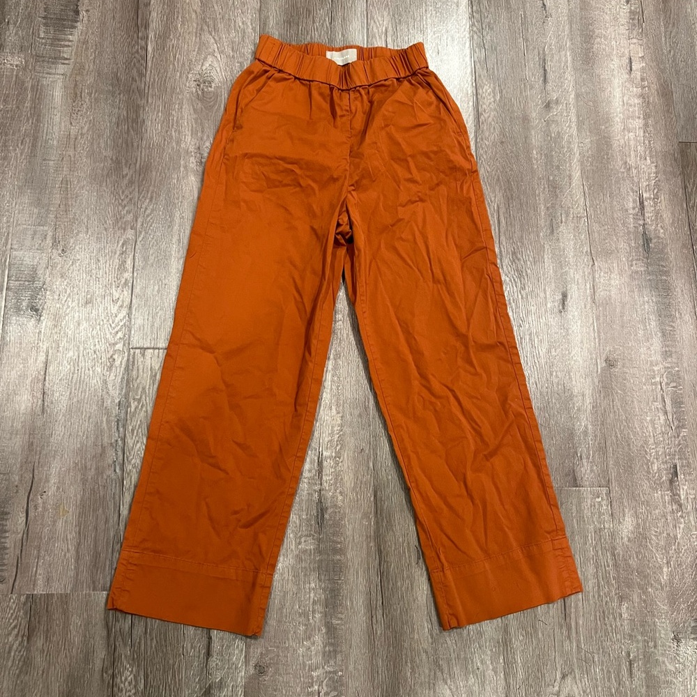 Everlane Wide Leg Elastic Waist Pants in Rust - Picture 3 of 6